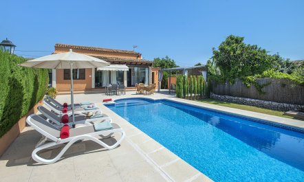 Pollen&ccedil;a Pad 1