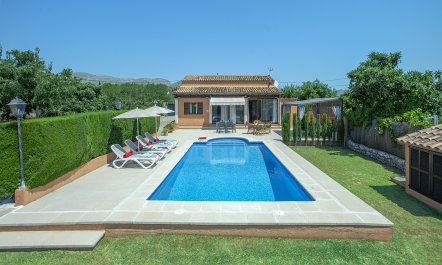 Pollen&ccedil;a Pad