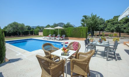 Pollen&ccedil;a Pad 4