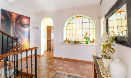 Viol&iacute; View 9