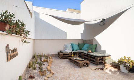 The Phoenician's Way
