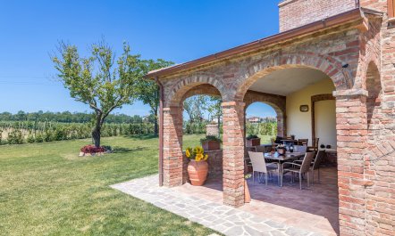 Between the Vineyards 6