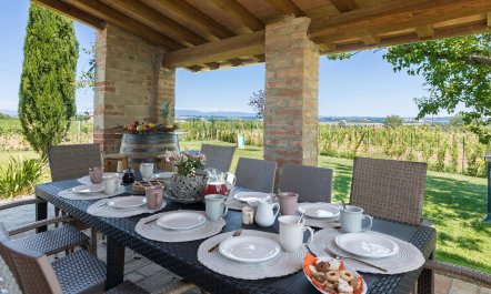 Between the Vineyards 7