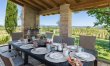 Between the Vineyards 7