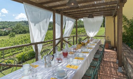 The Vineyard House 1