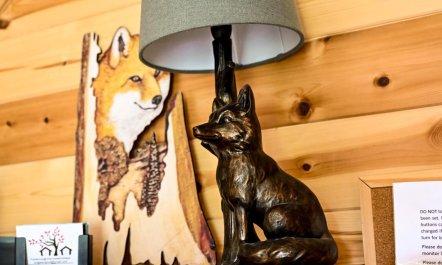 2 Bed in Llandrindod Wells 9