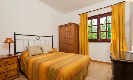 Vieja Pollen&ccedil;a 6