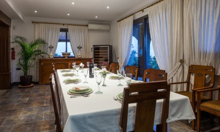 Ibizan Breeze 7