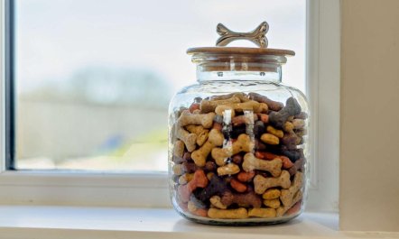 1 Bed in Barnstaple 8