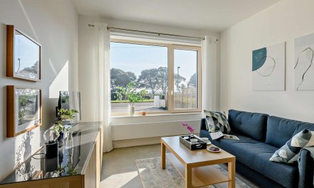 1 Bed in Christchurch 6