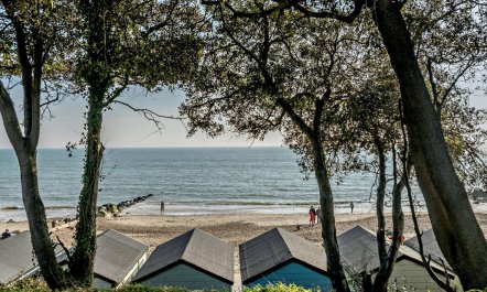 1 Bed in Christchurch 3