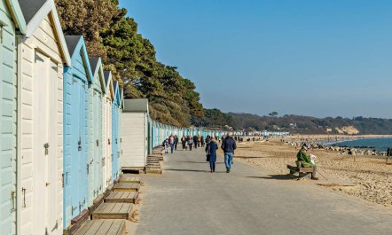 1 Bed in Christchurch 5