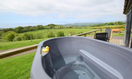1 Bed in Dalry 4