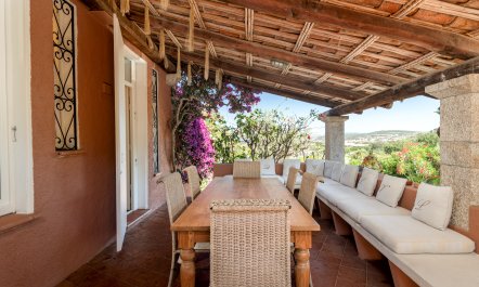 Feels Like Paradise 1