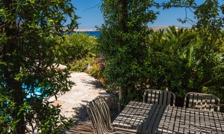 Feels Like Paradise 5