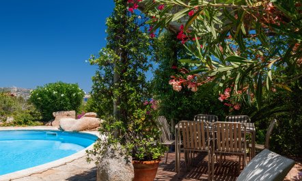 Feels Like Paradise 4