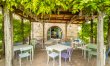 The Olive & the Vine 6