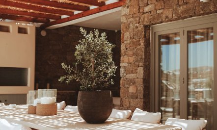 Full of Natural Energy 7