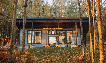Hickory Tree Hideaway