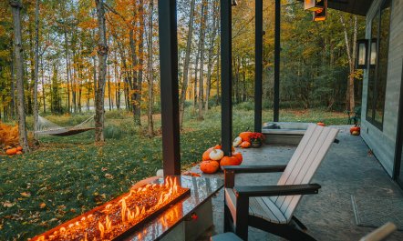 Hickory Tree Hideaway 1