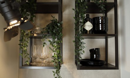The Young King 3