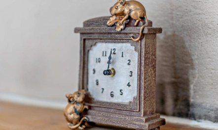 2 Bed in Freshwater 5