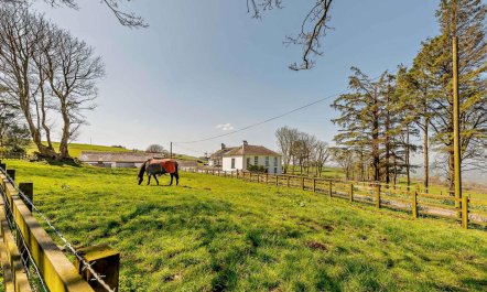 5 Bed in Lampeter 2