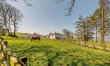 5 Bed in Lampeter 2