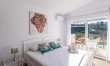 Primrose & Palms 1