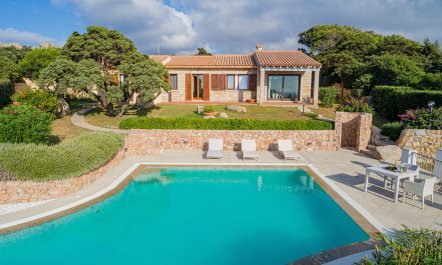 Apples & Oranges