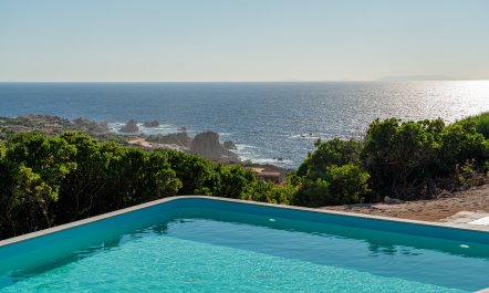 Sardinia in Bloom
