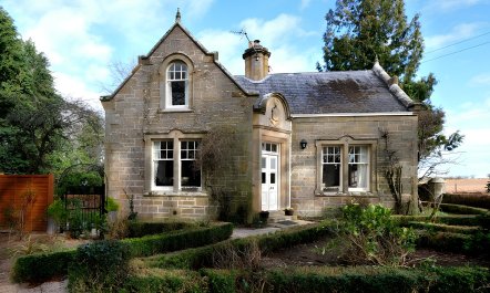 A Cosy Shade of Green 0