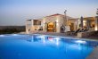The Cretan Palm 0