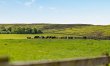 3 Bed in Whitby 4