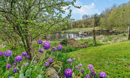 2 Bed in Blairgowrie 1