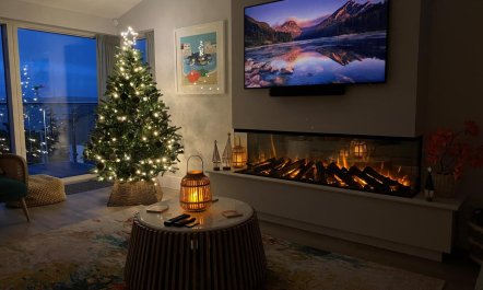 4 Bed in Appledore 1