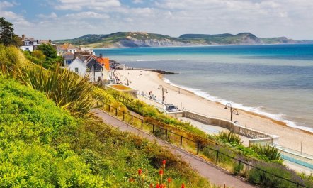 3 Bed in Lyme Regis 5