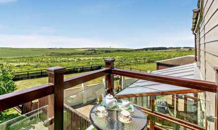 2 Bed in Penzance 1