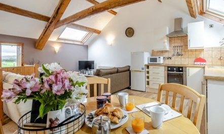 1 Bed in Aberystwyth