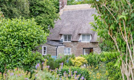 4 Bed in Melbury Osmond 0