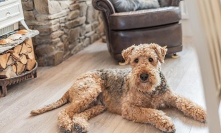 5 Bed in Woolacombe 6