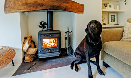 1 Bed in Machynlleth 3