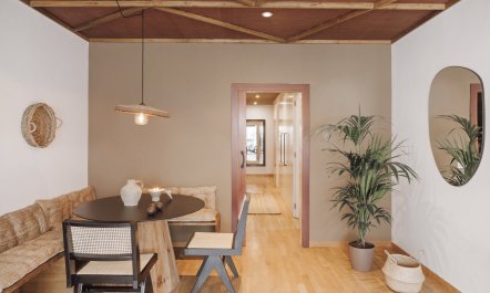 Palm Dream 5