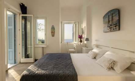 The Kalamata Olive 3