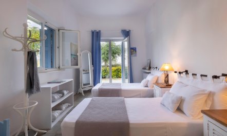 The Kalamata Olive 5