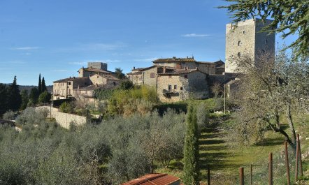 Chianti Beauty 3