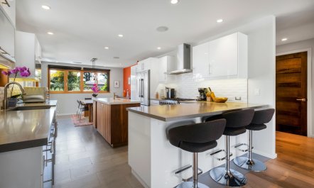 Blue Moon Mountain 4