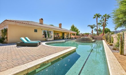 A Palm Tree View