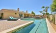 A Palm Tree View 0