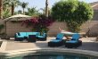 A Palm Tree View 5